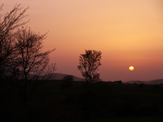 IMG_ds00_100503-C