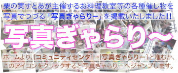 PLT_ds00_Info_PhotoGallry_slt.jpg