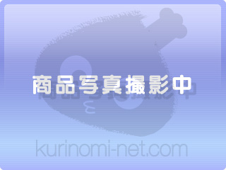 ポリシート(18)<約2000枚入>.jpg